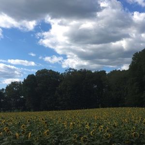 Meet your Posher, Bella